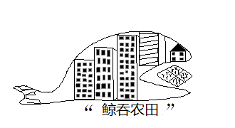 图片_x0020_1802264215