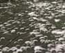 图片_x0020_100007