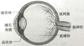 图片_x0020_100016