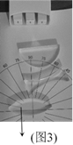 图片_x0020_100028