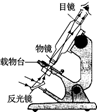 图片_x0020_100008