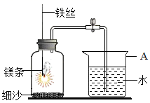 图片_x0020_623683329
