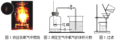 图片_x0020_667400916