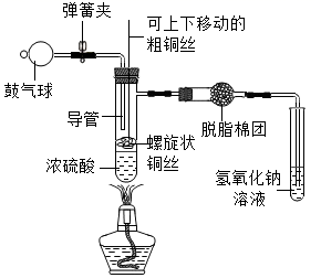 图片_x0020_493310480