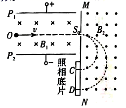 图片_x0020_100013