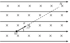 图片_x0020_100008