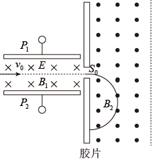图片_x0020_318457203