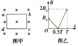 图片_x0020_100006