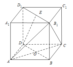 图片_x0020_100016