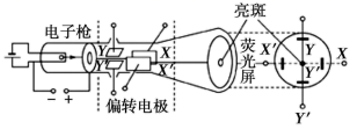 图片_x0020_100016