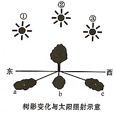 图片_x0020_854113449