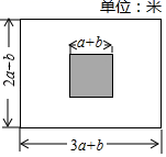图片_x0020_100028