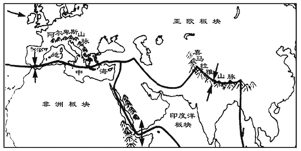 图片_x0020_100007