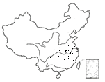 图片_x0020_100012