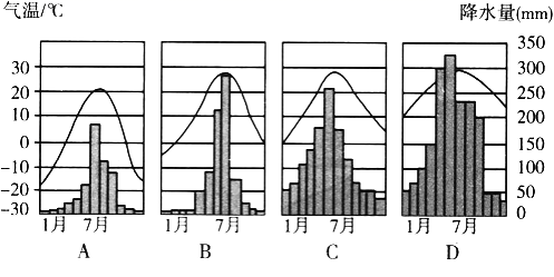 图片_x0020_100006