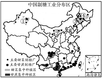图片_x0020_100006
