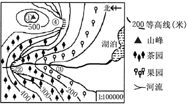 图片_x0020_100003