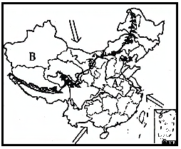 图片_x0020_100003