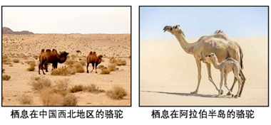 图片_x0020_100011