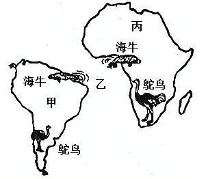 图片_x0020_1009802850