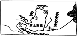 图片_x0020_100008