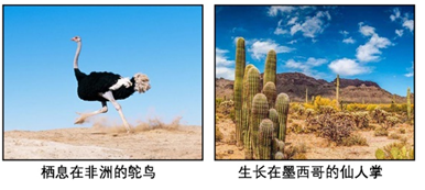 图片_x0020_100012