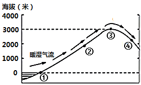 图片_x0020_100009
