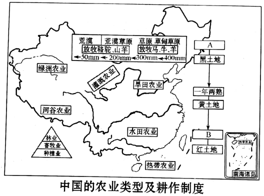 图片_x0020_100016