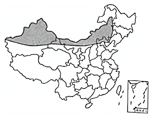 图片_x0020_100005