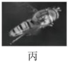图片_x0020_100005
