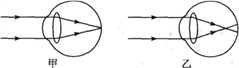 图片_x0020_100009