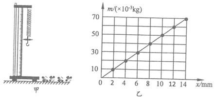 图片_x0020_100018