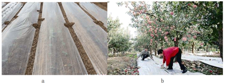 图片_x0020_100008