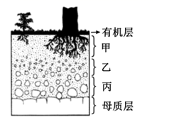 图片_x0020_100018