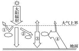 图片_x0020_100008