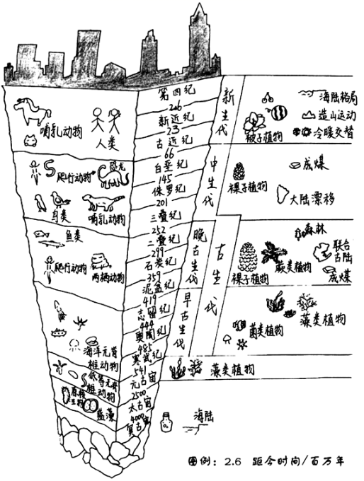 图片_x0020_100001