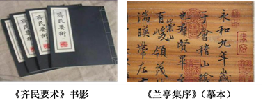图片_x0020_100009