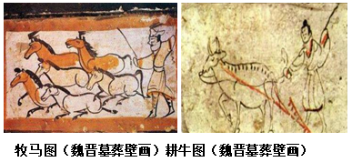 图片_x0020_100014