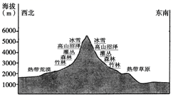 图片_x0020_100005