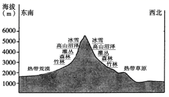 图片_x0020_100004