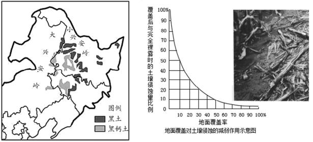 图片_x0020_100019