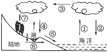 图片_x0020_100006