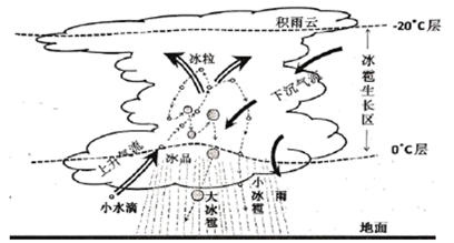 图片_x0020_100006