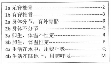 图片_x0020_541