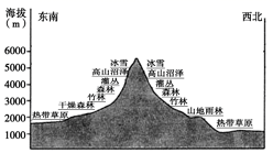 图片_x0020_100003