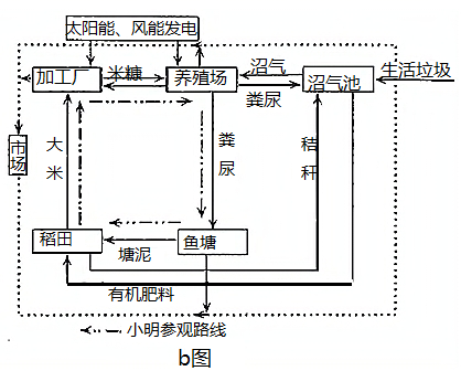 图片_x0020_100010