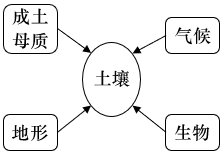 图片_x0020_100013