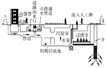 图片_x0020_100005