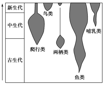 图片_x0020_100003