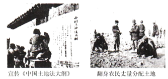 图片_x0020_100002